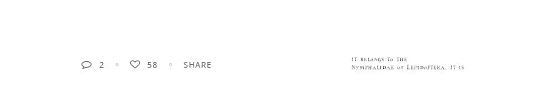 2025 New Elegant Opals Grip Back Of The Head Fixed Hair Shark Clip Headdress Girls Fashion Hairpin Accessories For Womans Clip