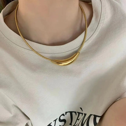 French Retro Design Metal Tube Snake Bone Chain Collar For Women‘s Exaggerated Stainless steel Necklace Girls' Colorless Jewelry