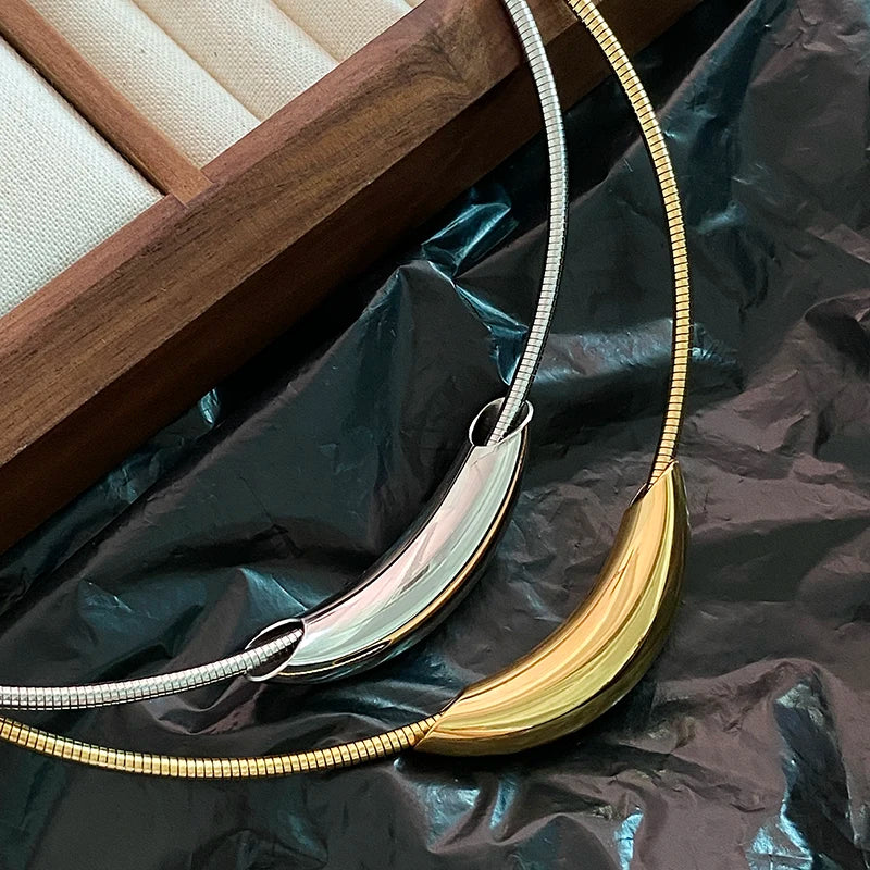 French Retro Design Metal Tube Snake Bone Chain Collar For Women‘s Exaggerated Stainless steel Necklace Girls' Colorless Jewelry